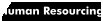 Human Resourcing